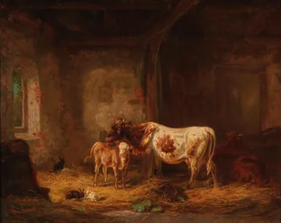 Vacas y conejos en el establo